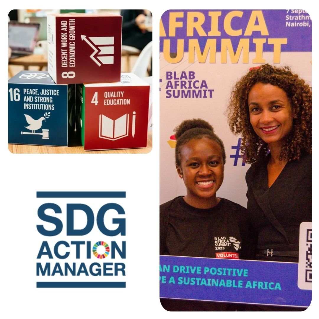 SDG Action Manager  and corporate sustainability performance